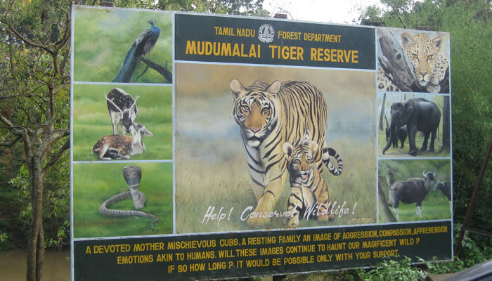 Mudumalai Tiger Reserve Pravin Travels