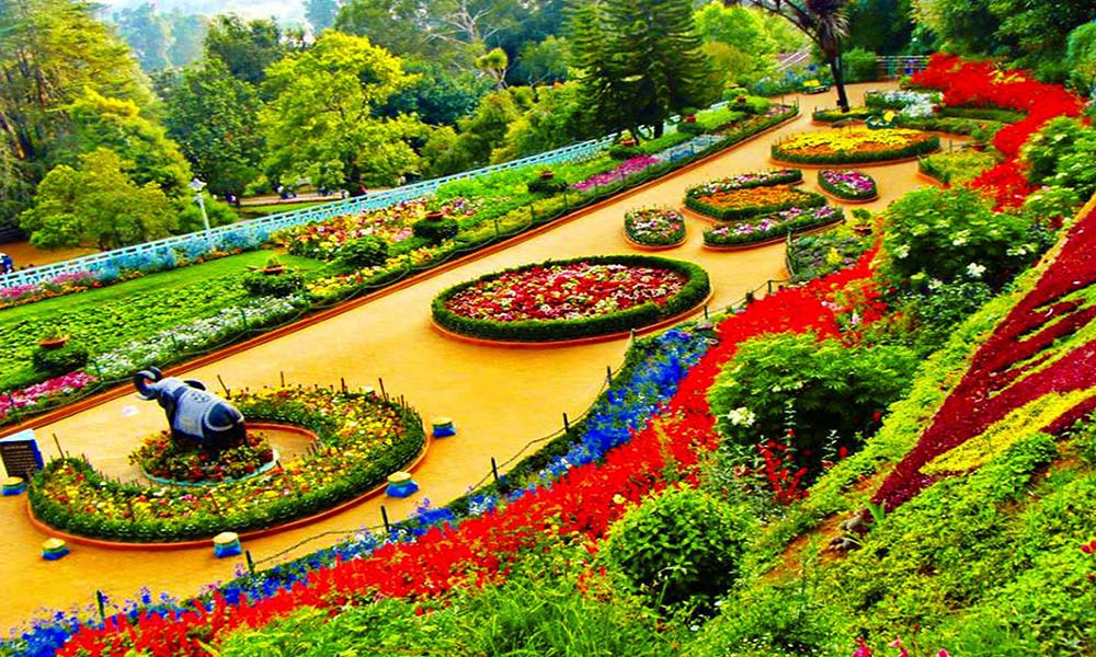 Government Rose Garden Pravin Travels