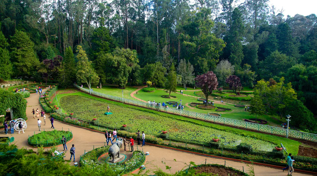 Government Botanical Garden Pravin Travels