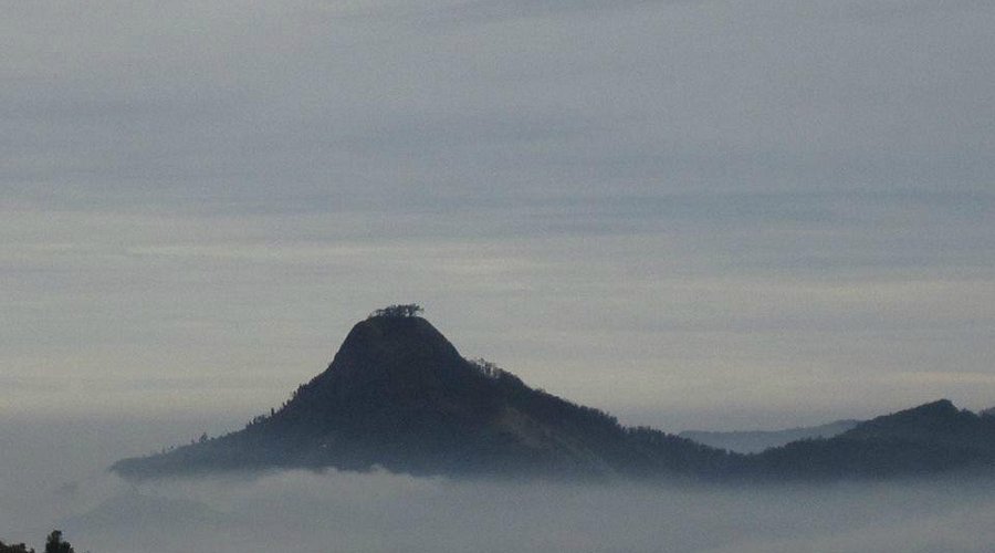 Perumal Peak Pravin travels
